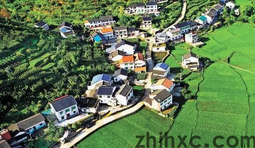 智慧乡村、乡村治理，乡村振兴怎么做？(1)