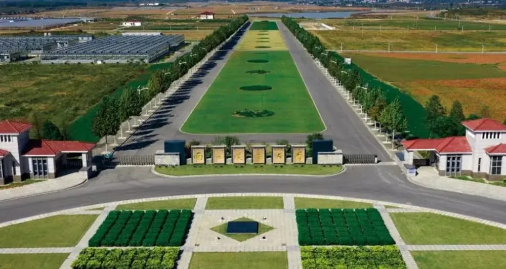 持续给力:数字乡村建设在多地开花。江苏如何利用大数据驱动乡村振兴？(10)