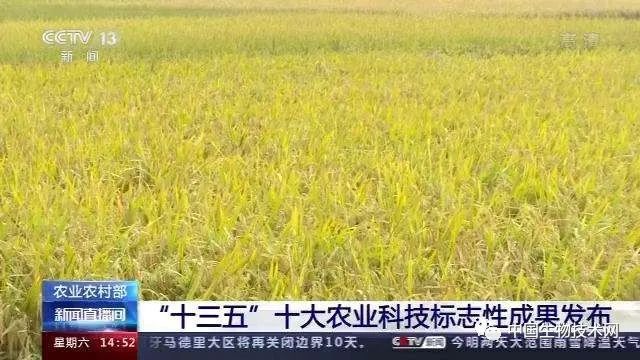 大数据之路 阿里巴巴大数据实践_大安防大数据大产业_乡村大数据
