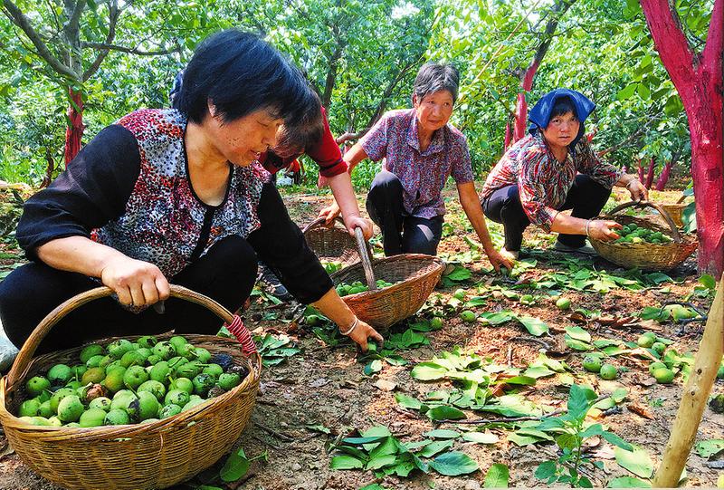 福利:农村消费农民腰包鼓鼓（消费窗口·县乡消费新亮点①）