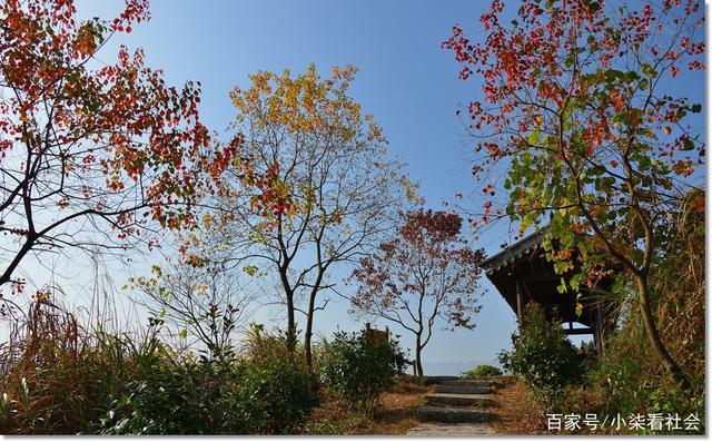 农村公厕改造造福群众，有的却成了摆设？专家：“为变而改革”不应该(3)