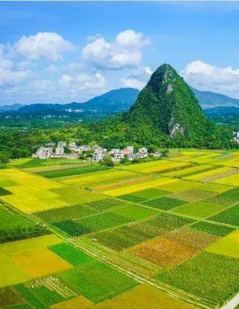 美丽广西清洁乡村新闻_乡村新闻_乡村爱情8大鹏新闻