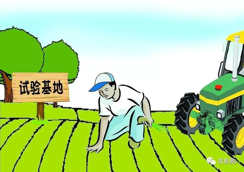 乡村爱情圆舞曲 新闻_美丽乡村南平新闻九点半_乡村新闻