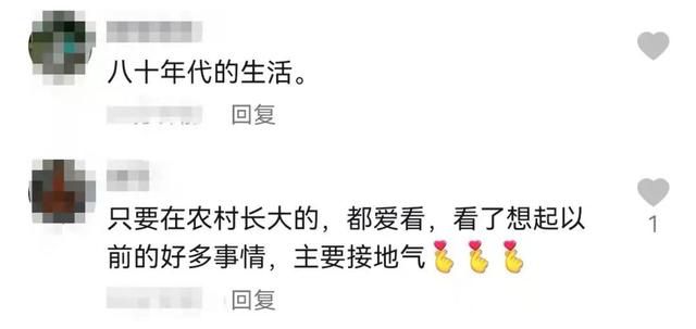意外:张同学人气这么高，农村青年的梦想能走多远？(2)