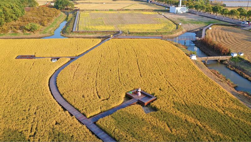 解决方案:上海农村社区生活圈指南来了，引导公共服务“最后一公里”(5)