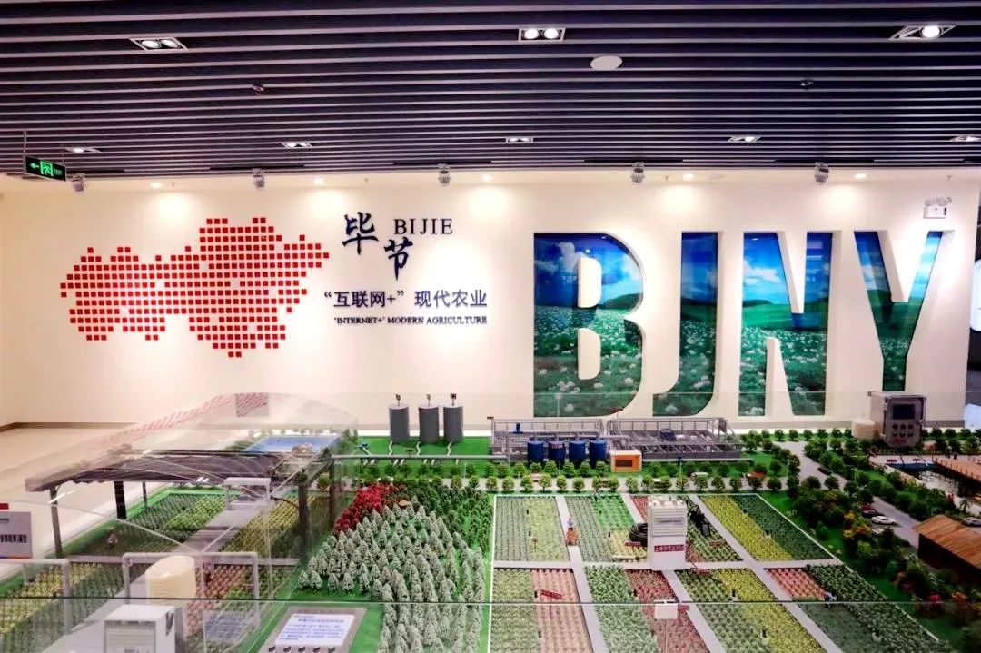 事实:大数据｜大数据“下乡进村”，为农业“康复”(2)