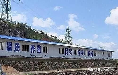大事件:国家重磅政策扶持！看看文氏如何探索农业大数据(4)