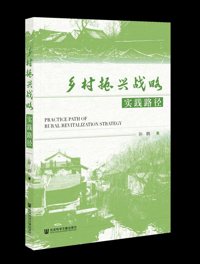 遗憾:为什么张家国视频这么火？(11)