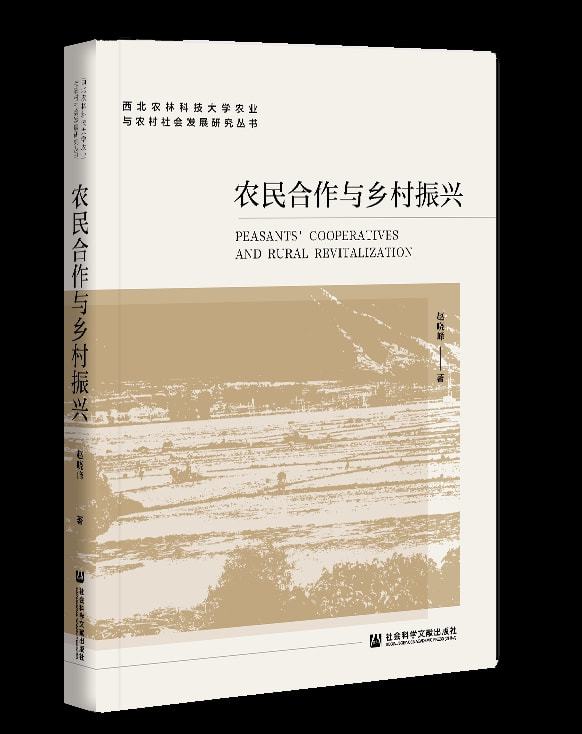 遗憾:为什么张家国视频这么火？(9)