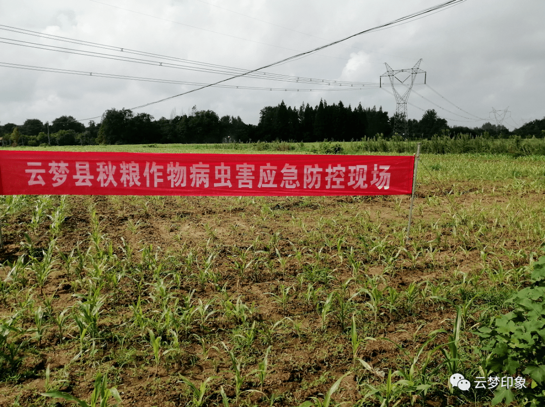 农业新闻最新 新闻_广水市郝店农业新闻_农业新闻