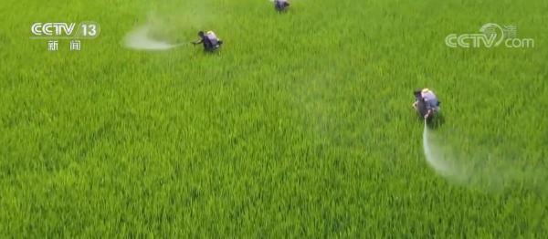 广水市郝店农业新闻_农业新闻最新 新闻_农业新闻