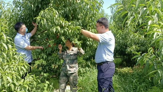 解决方案:致力于服务“三农”，助力改善农村金融服务环境(4)