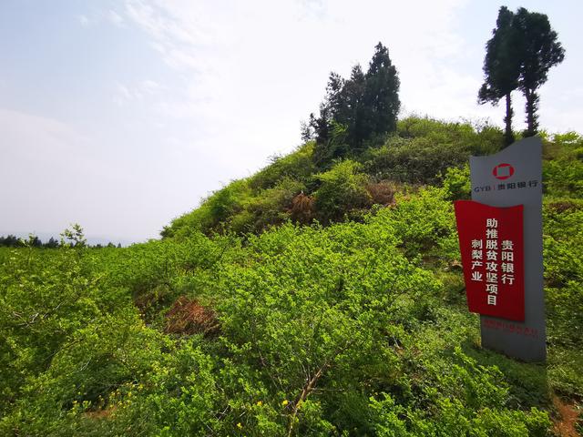 乡村大数据_大安防大数据大产业_大扶贫 大数据 大生态