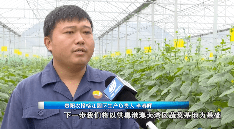 大安防大数据大产业_乡村大数据_大扶贫 大数据 大生态