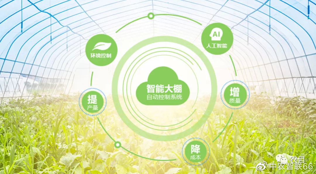 黎玉成 智慧农业_智慧农业_智慧农业