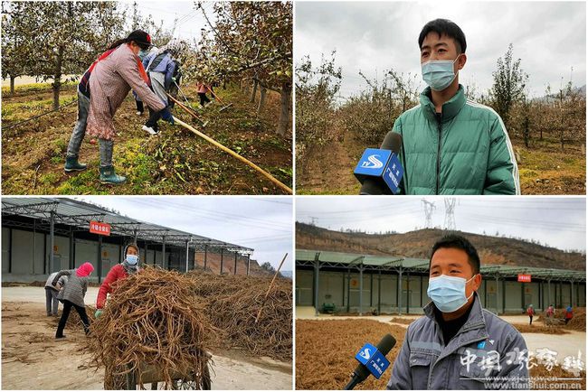 农业新闻_广水市郝店农业新闻_云南农业新闻资讯