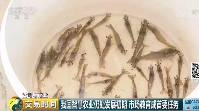 全球互联网巨头纷纷布局。智慧农业为何如此受青睐？(14)