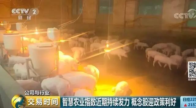 全球互联网巨头纷纷布局。智慧农业为何如此受青睐？(20)