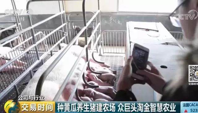 全球互联网巨头纷纷布局。智慧农业为何如此受青睐？(3)