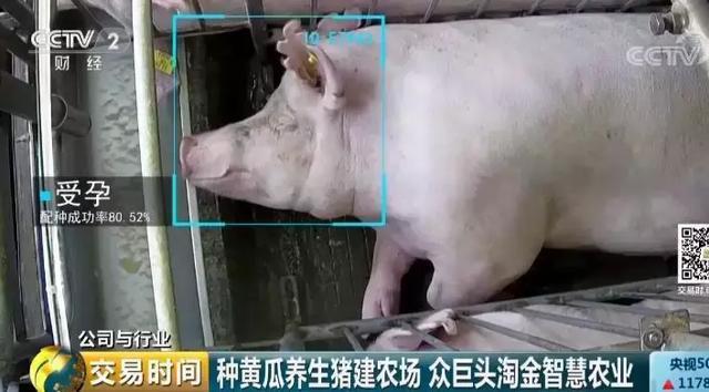 全球互联网巨头纷纷布局。智慧农业为何如此受青睐？(4)