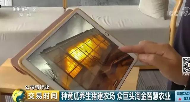 全球互联网巨头纷纷布局。智慧农业为何如此受青睐？(6)