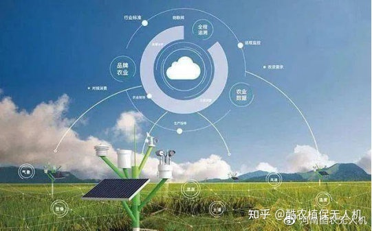 乡镇法治乡村乡村振兴方案_数字乡村方案_云南省数字乡村