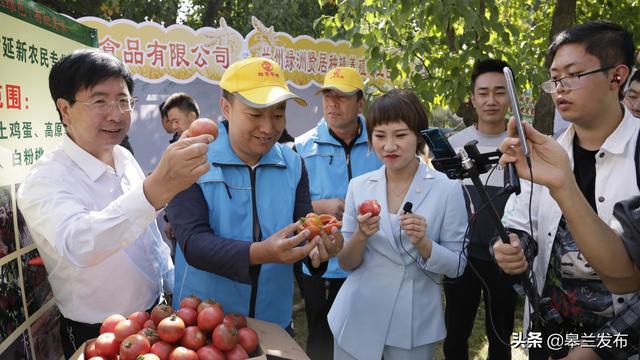 乡村改革 高栏县多措并举加快振兴乡村产业(10)