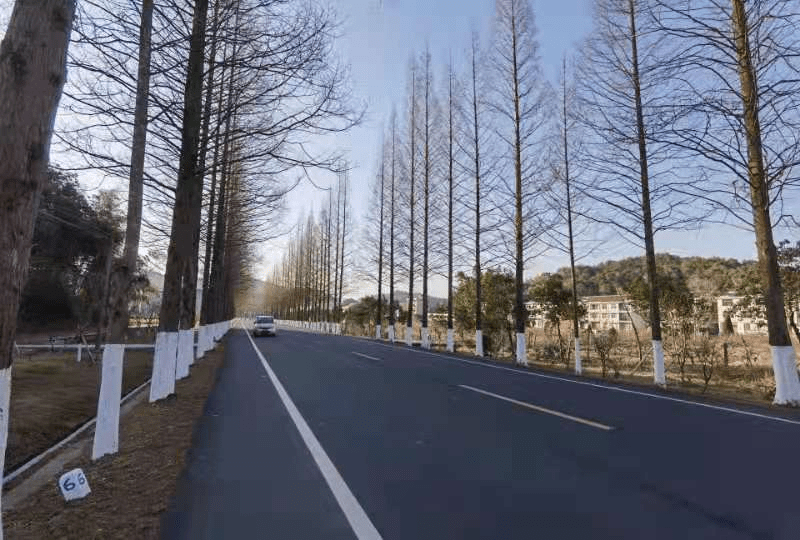 河北乡村卫生室改革_乡村兽医改革_乡村改革
