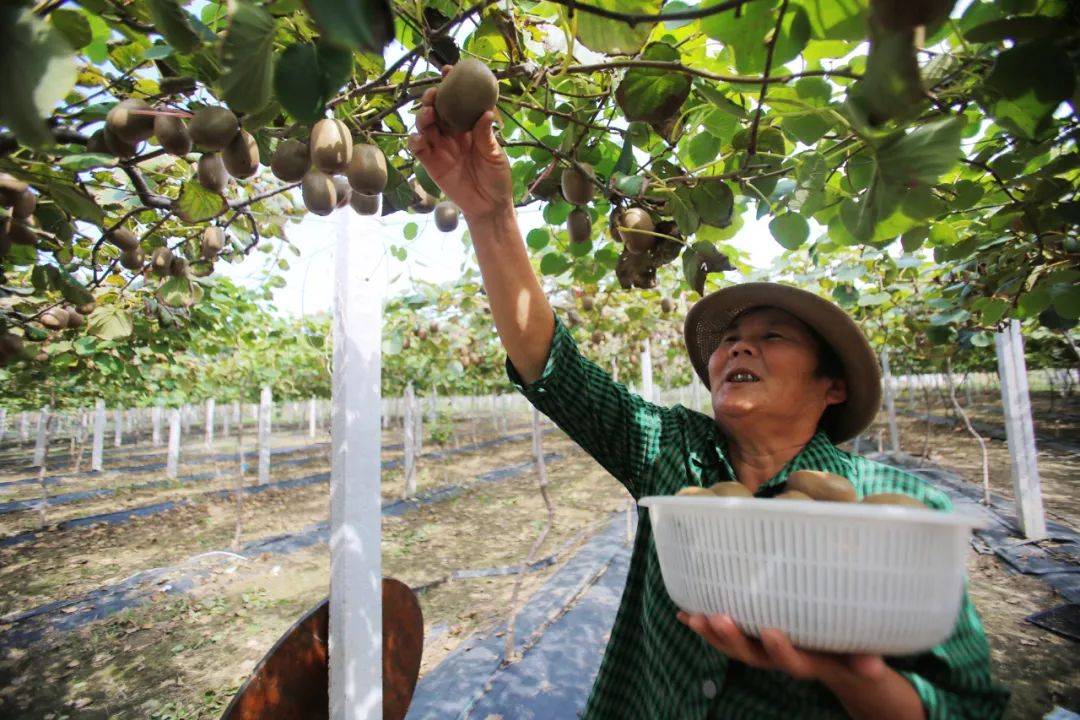大扶贫 大数据 大生态_大数据——大价值、大机遇、大变革（全彩）_乡村大数据