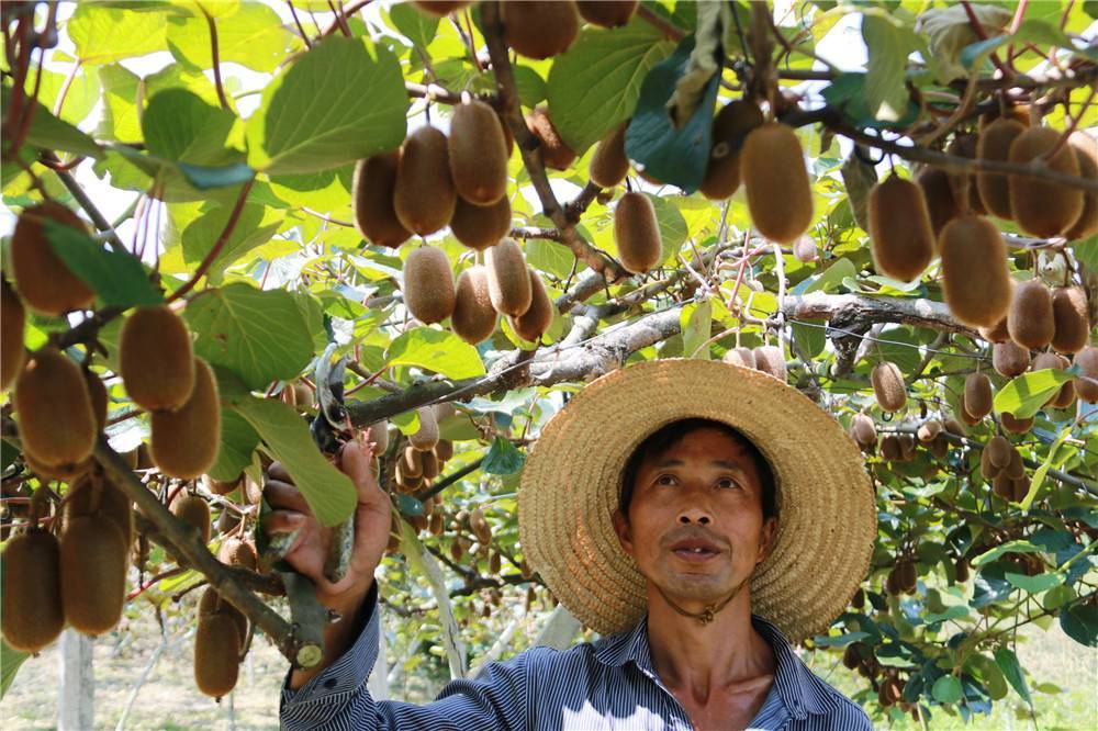大扶贫 大数据 大生态_乡村大数据_大数据——大价值、大机遇、大变革（全彩）