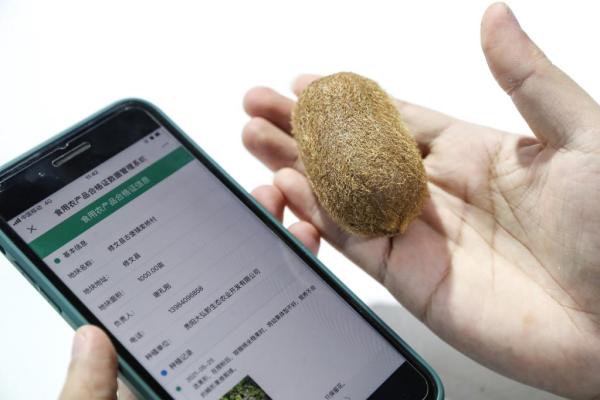 乡村大数据 新华全媒体+丨大数据能为乡村振兴做些什么？(4)