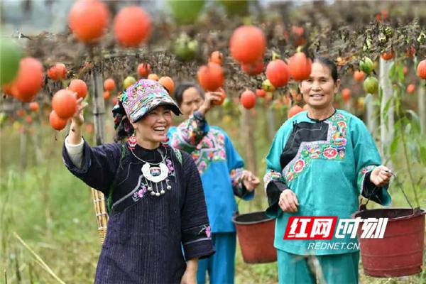 乡村改革 “小”业务大作用 湖南农村信用体系赋能乡村振兴战略(2)