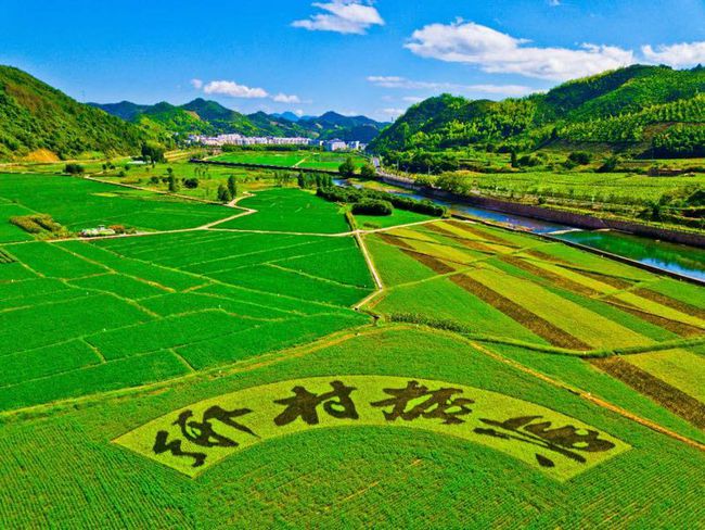 36大数据 36大数据_乡村大数据_大数据培训大数据培训