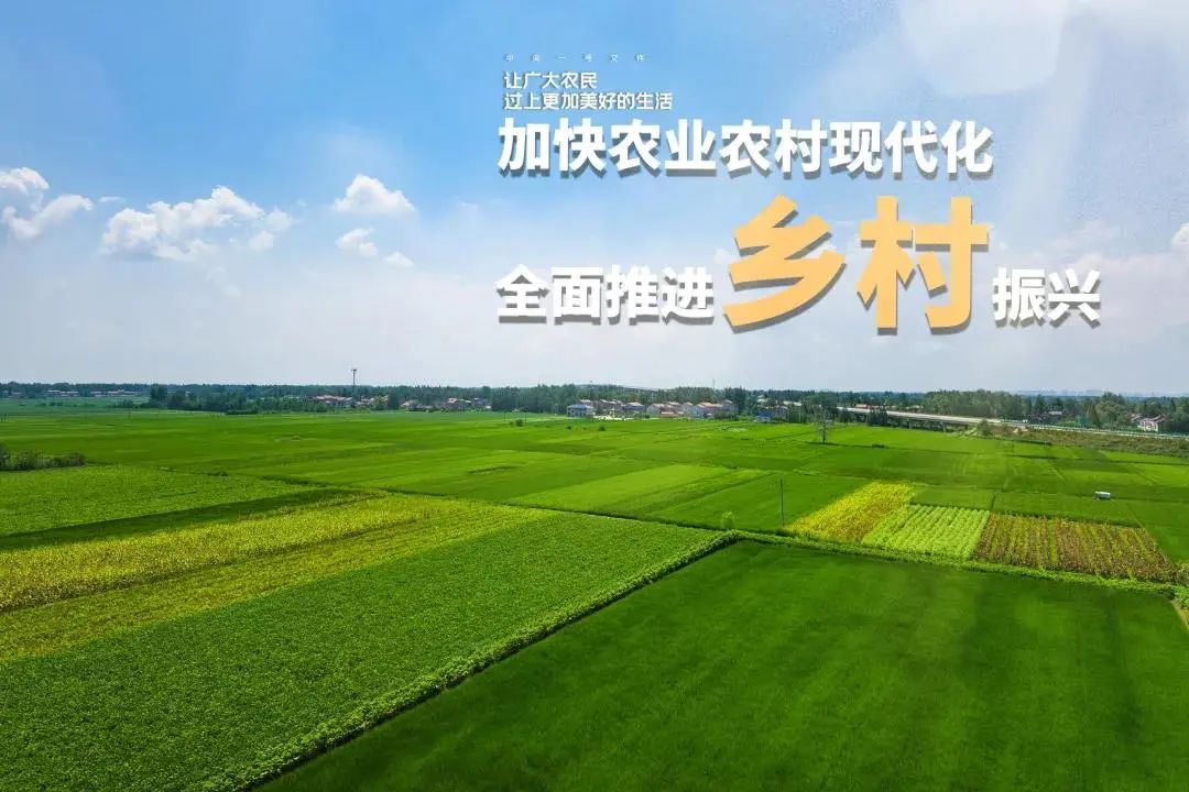 行业物联网 消费物联网_联网协议—跨区域视频监控联网平台设计的关键_互联网乡村