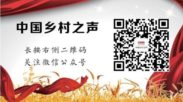 互联网乡村 互联网+国家不仅仅是卖货(4)