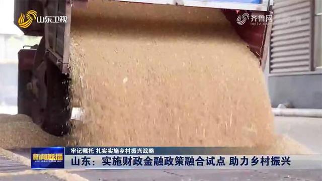 乡村政策 “牢记寄托扎实实施乡村振兴战略”山东：实施财政金融政策融合试点，助力乡村振兴(2)