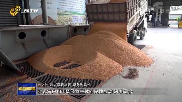 乡村政策 “牢记寄托扎实实施乡村振兴战略”山东：实施财政金融政策融合试点，助力乡村振兴(3)