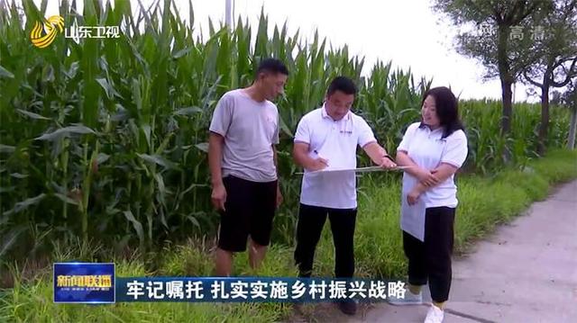 乡村政策 “牢记寄托扎实实施乡村振兴战略”山东：实施财政金融政策融合试点，助力乡村振兴(4)