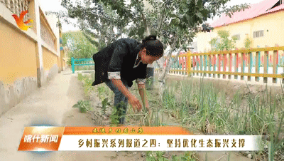 乡村振兴产业振兴问卷_乡村振兴_建设美丽乡村大力发展乡村振兴战略