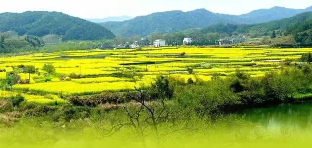 智慧农村 智慧乡村，让乡村更智慧，助力乡村振兴！