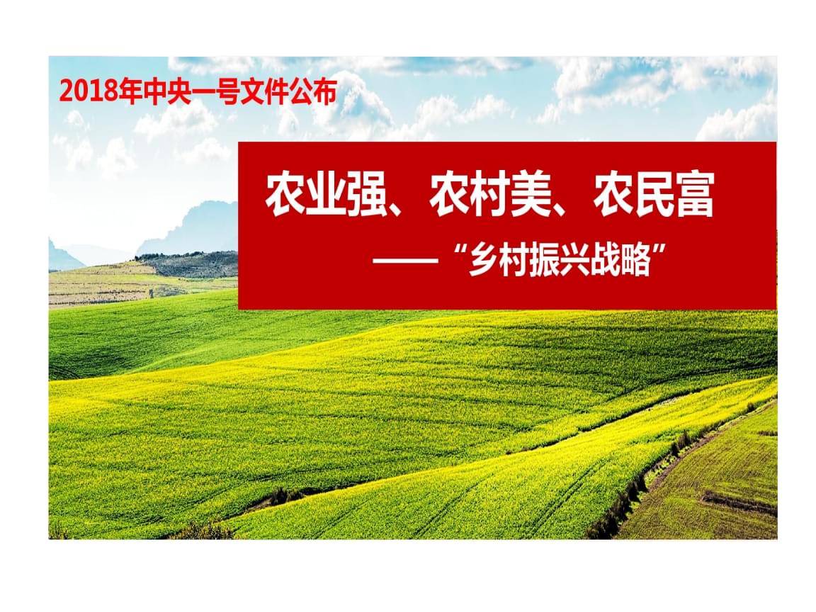 乡村改革 农村改革发展进程的一个缩影
