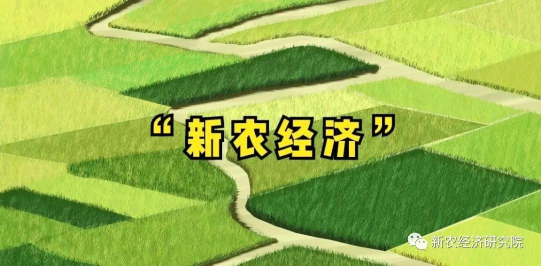 大数据金融和金融大数据_大数据——大价值、大机遇、大变革(全彩)_乡村大数据