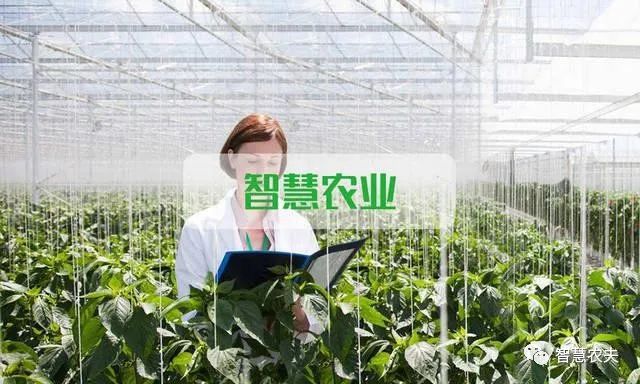大数据——大价值、大机遇、大变革(全彩)_大数据金融和金融大数据_乡村大数据