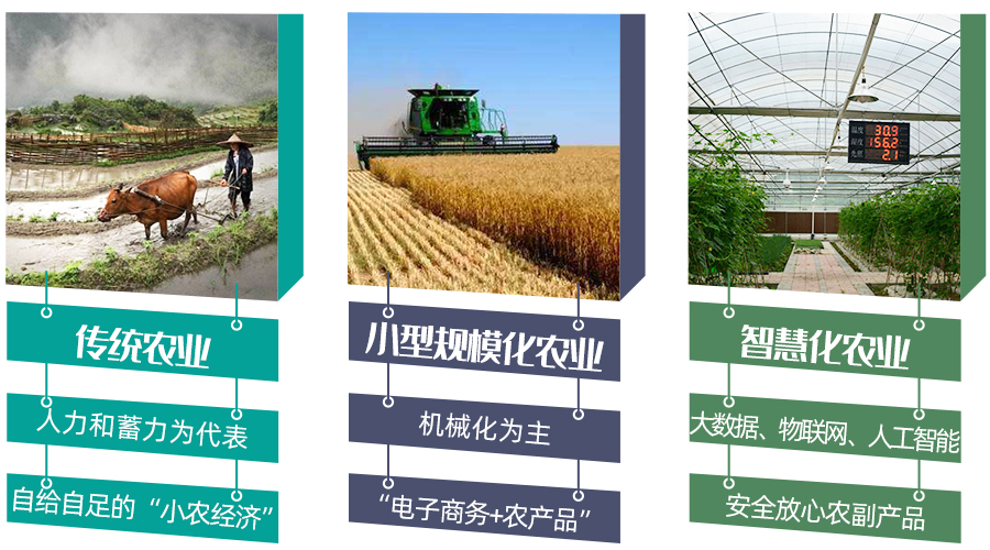 智慧农村成功案例_智慧农村_魏炜再造商学院课堂：智慧地学习商业智慧^^^重构商业模式