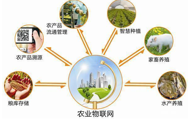 智慧农村成功案例_魏炜再造商学院课堂：智慧地学习商业智慧^^^重构商业模式_智慧农村