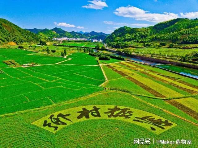 乡村政策_国家美丽乡村政策_乡村农业技术员生活补贴政策
