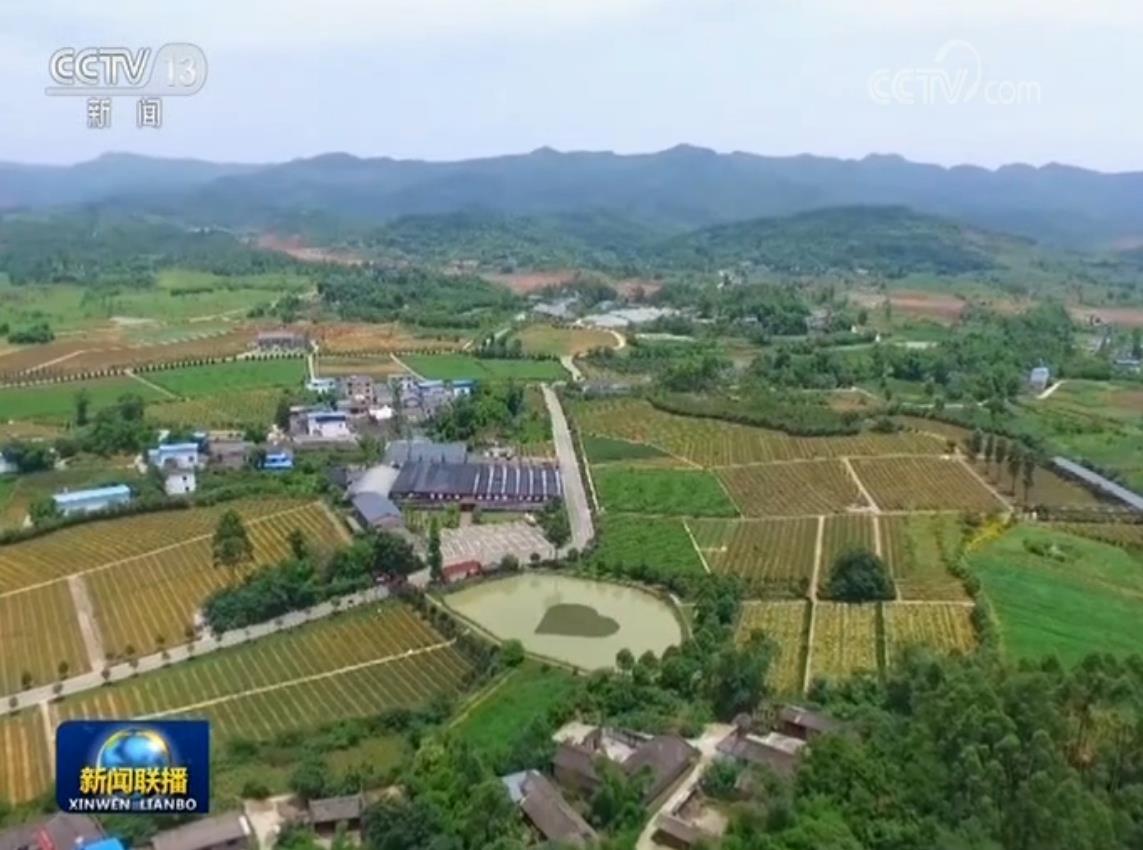 乡村规划_吴桥美丽乡村片区规划_乡村旅游开发规划