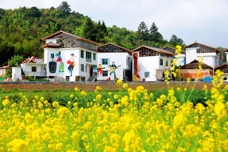 乡村规划_吴桥美丽乡村片区规划_乡村旅游开发规划