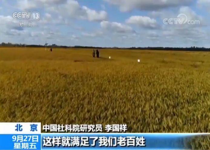 乡村振兴怎么做_山东省乡村振兴组织振兴_乡村振兴战略五个振兴