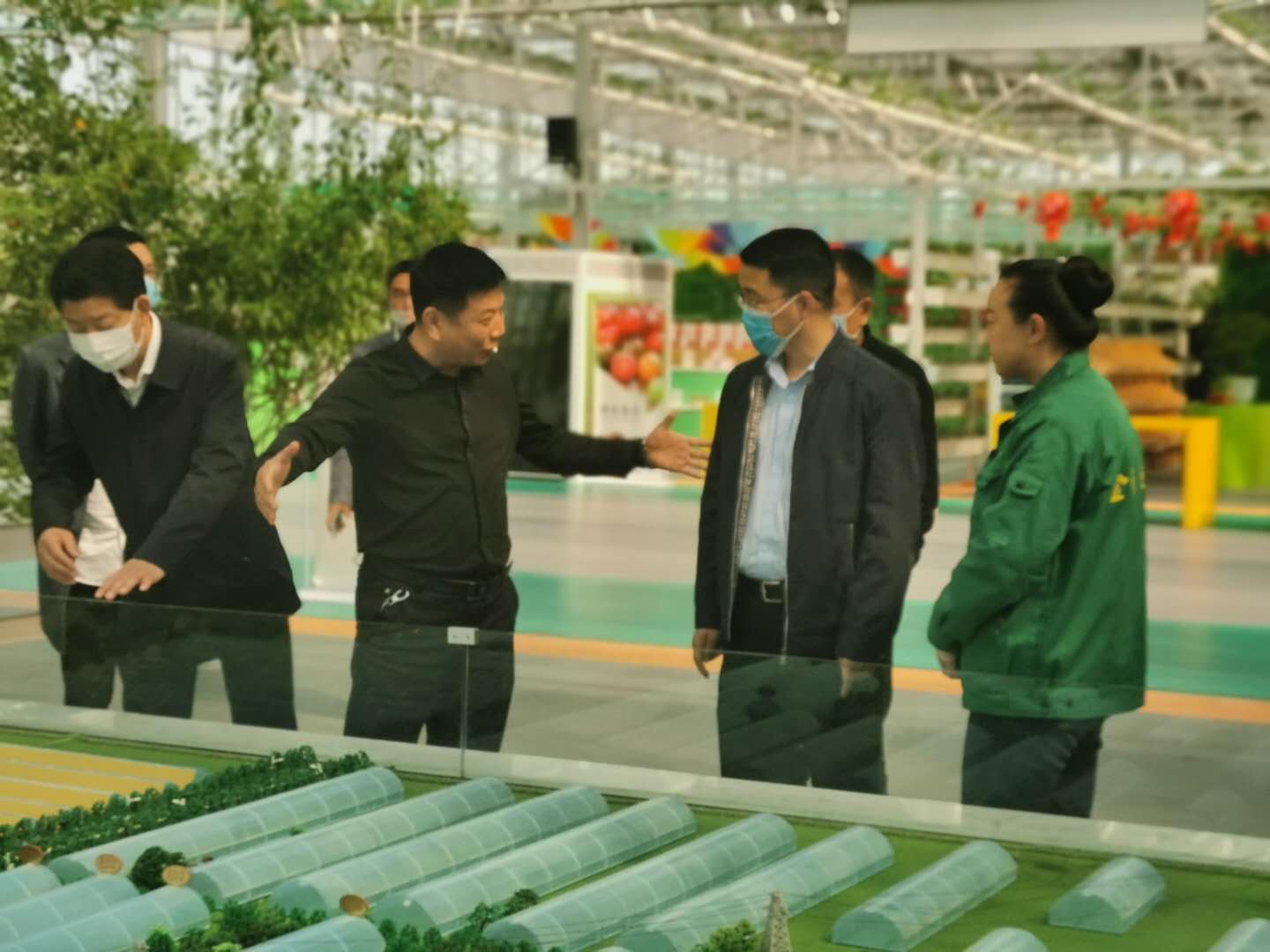 农业新闻_广西农业新闻_最新农业新闻